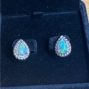 Opal Earrings 14 karat White Gold